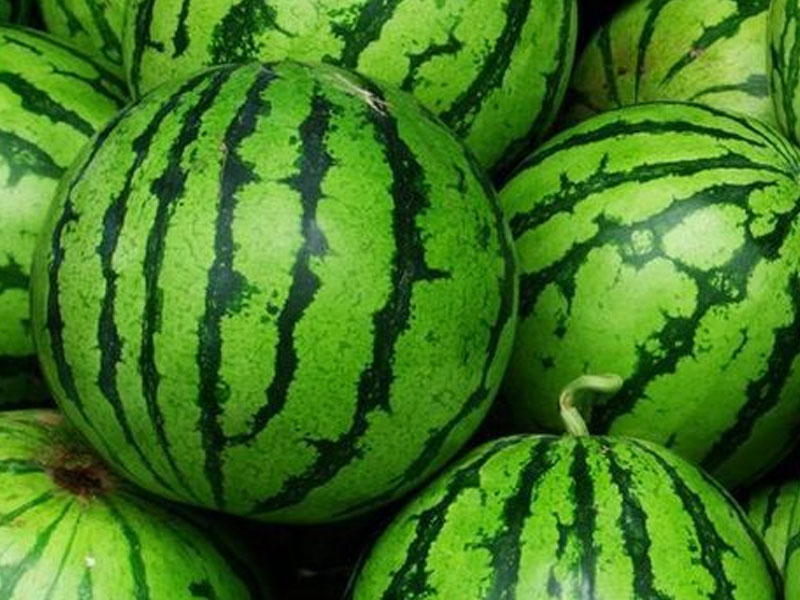 Watermelon