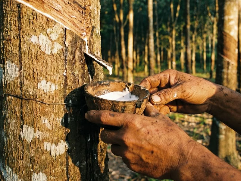 Natural Rubber
