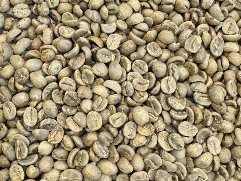 Arabica Green Beans Washed