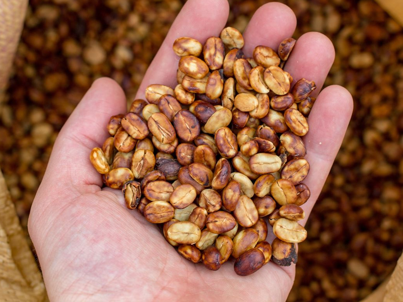 Arabica Honey Process