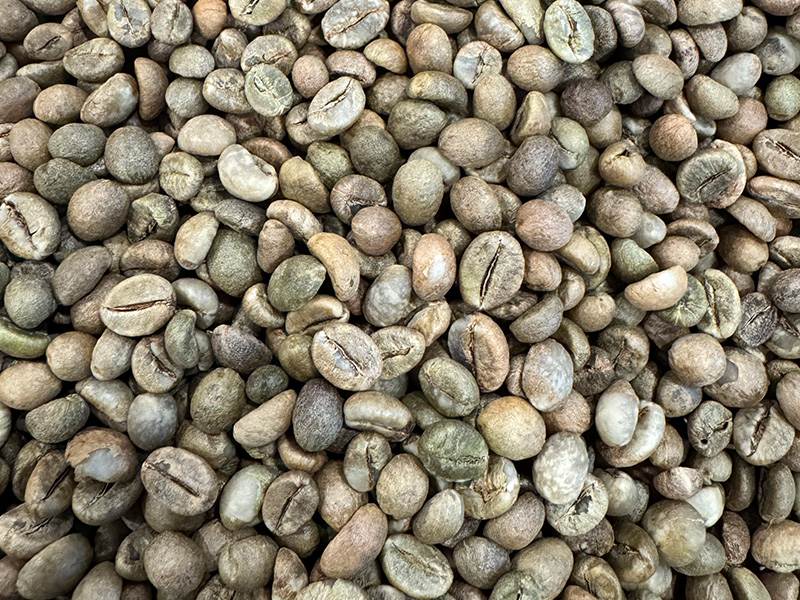 Robusta Green Coffee Beans